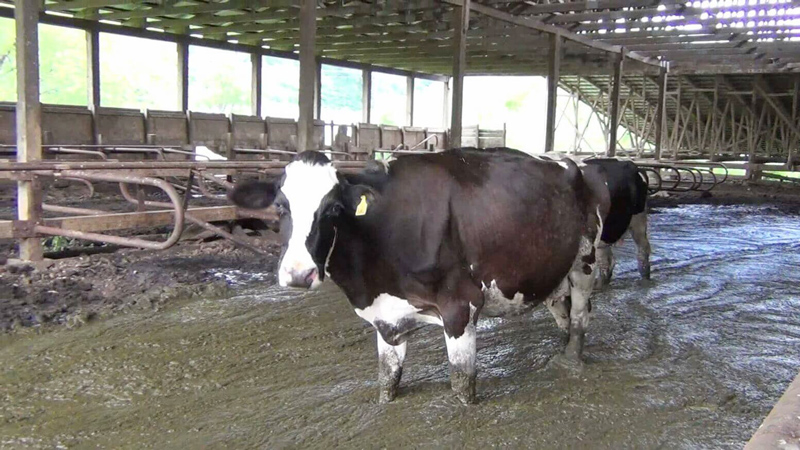 Innovative Filtration Technology Helps Solve Global Agricultural Pollution Problems