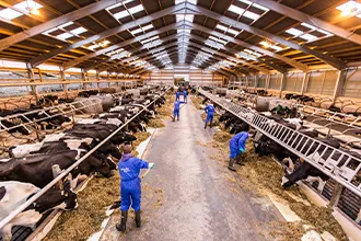 Agriculture and Animal Husbandry