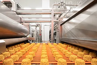 Food Processing