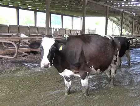 Innovative Filtration Technology Helps Solve Global Agricultural Pollution Problems